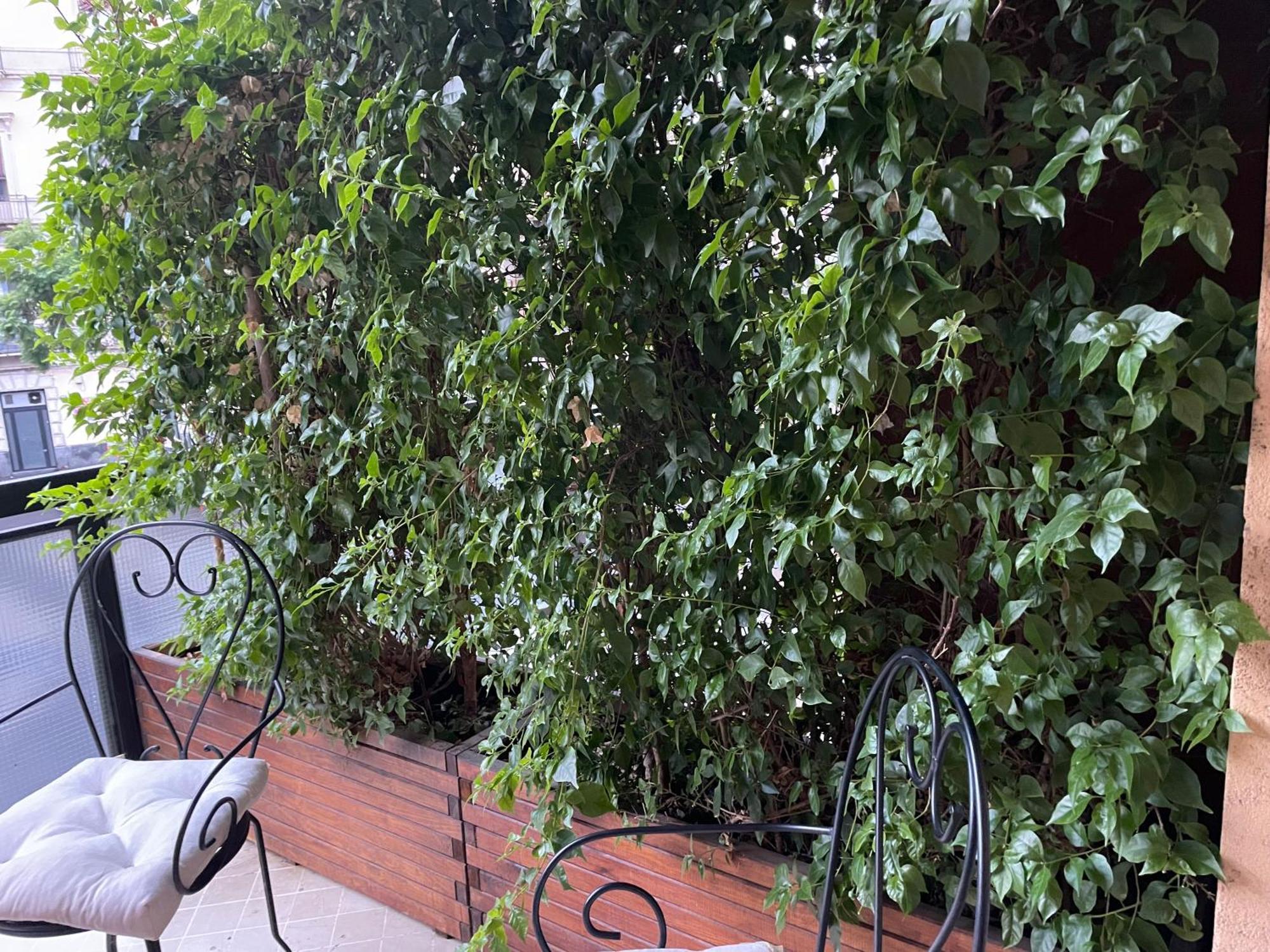 Cesare'S Home Catania Exterior photo